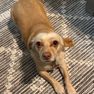 Meet your Posher, Aj